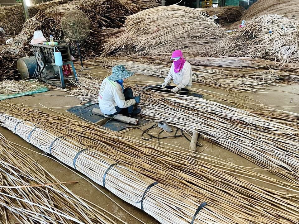 Quy trình chế biến nguyên liệu thành phẩm