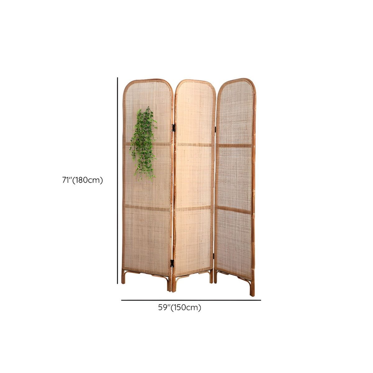 Kích thước vách ngăn Tropical